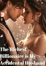 The Richest Billionaire is My Accidental Husband