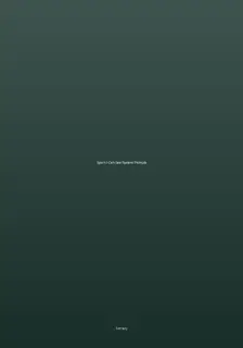 Spirit: I Can See System Prompts