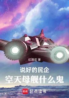 Promised Private Enterprise, Why an Sky-Carrier?