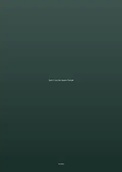 Spirit: I Can See System Prompts