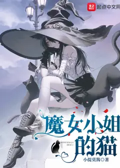 The Little Witch's Cat