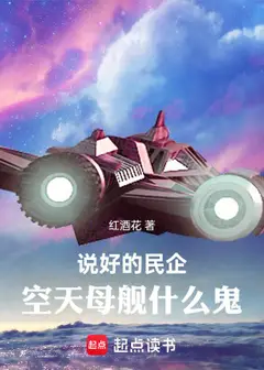 Promised Private Enterprise, Why an Sky-Carrier?