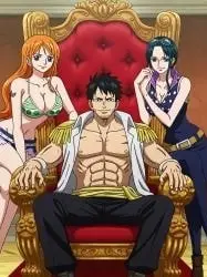 One Piece: Global improvement system