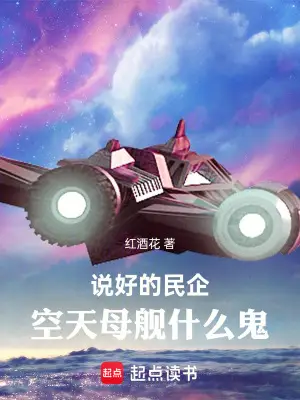 Promised Private Enterprise, What is This Sky Aircraft Carrier?