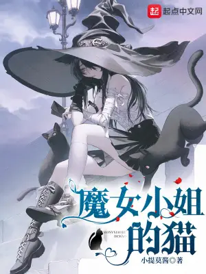 The Little Witch's Cat