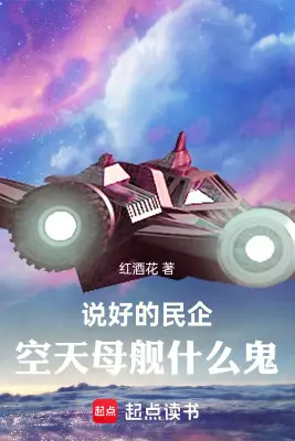 Promised Private Enterprise, What is This Sky Aircraft Carrier?