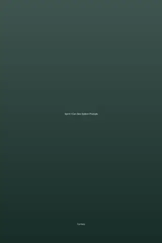 Spirit: I Can See System Prompts