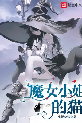 The Little Witch's Cat