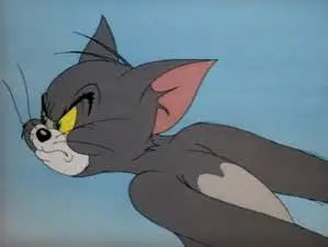 Tom Cat who broke through the dimensional wall