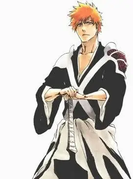 Bleach, unlimited sword system at the beginning