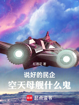 Promised Private Enterprise, Why an Sky-Carrier?