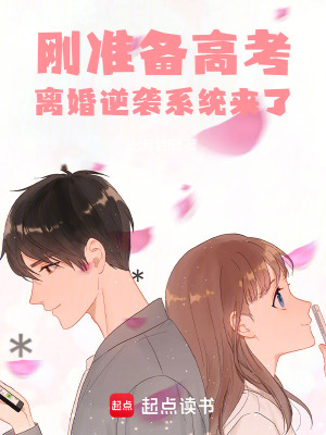 The Divorce Comeback System cover